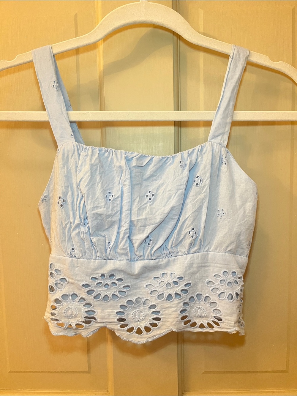 Japna Light Blue Eyelet Crop Top
